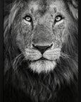 Royal portrait