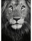 Royal portrait