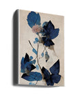 Blue Dry Flowers
