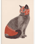 Chat Catcheur