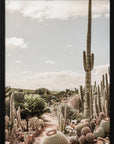 Cactus Farm