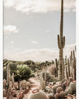 Cactus Farm