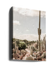 Cactus Farm
