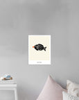 Soyfish art print