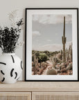 Cactus Farm