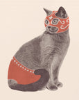 Chat Catcheur