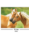 Bild Nummer 5