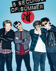 5 Seconds of Summer Poster Brillen