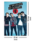 5 Seconds of Summer Poster Brillen