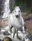 Bild Nummer 1