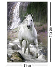 Bild Nummer 4