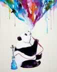 Bild Nummer 1