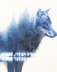 Bild Nummer 4
