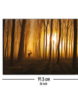 Bild Nummer 5