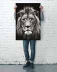 Bild Nummer 4