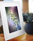 Bild Nummer 5