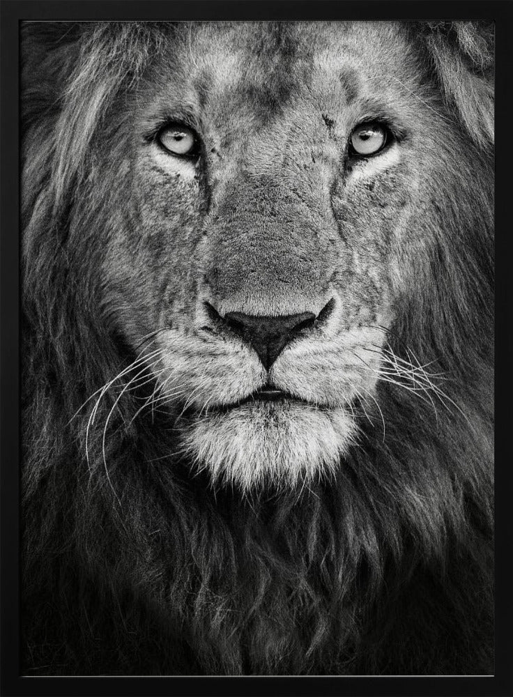 Royal portrait