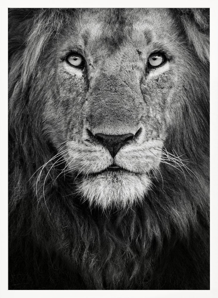 Royal portrait