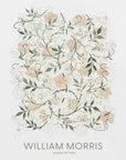 Jasmine