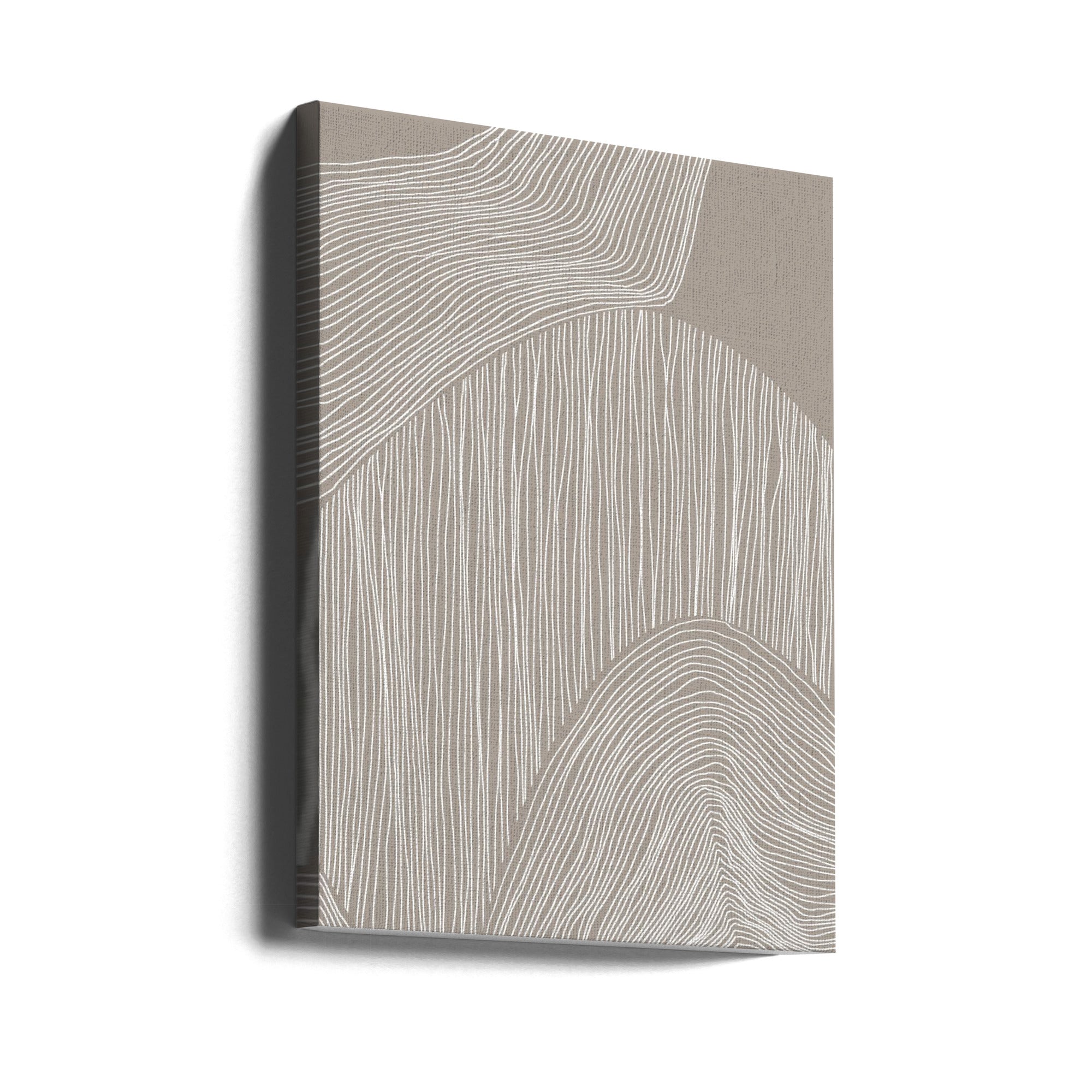 Abstract Organic Lines