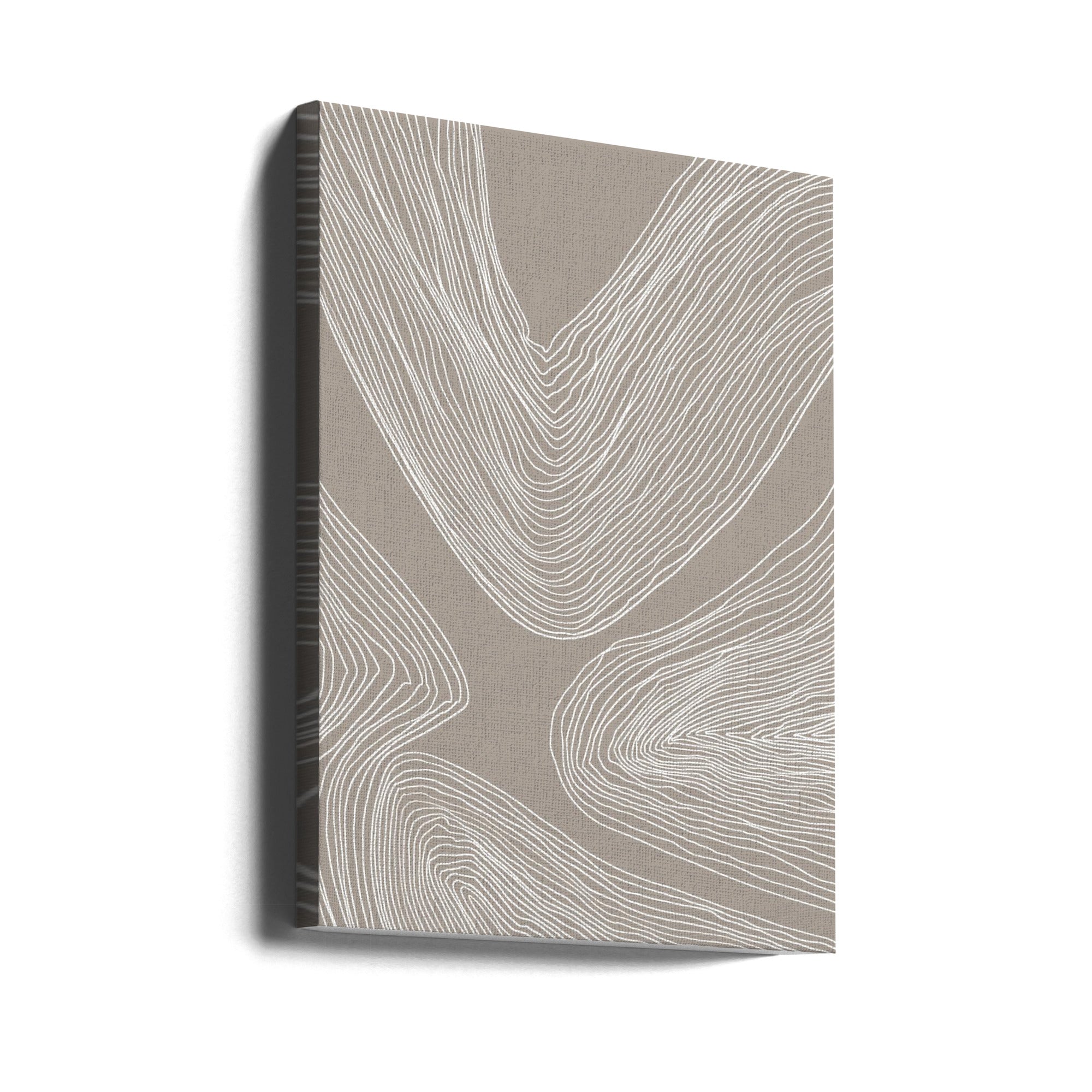 Flowing Contours Line Art