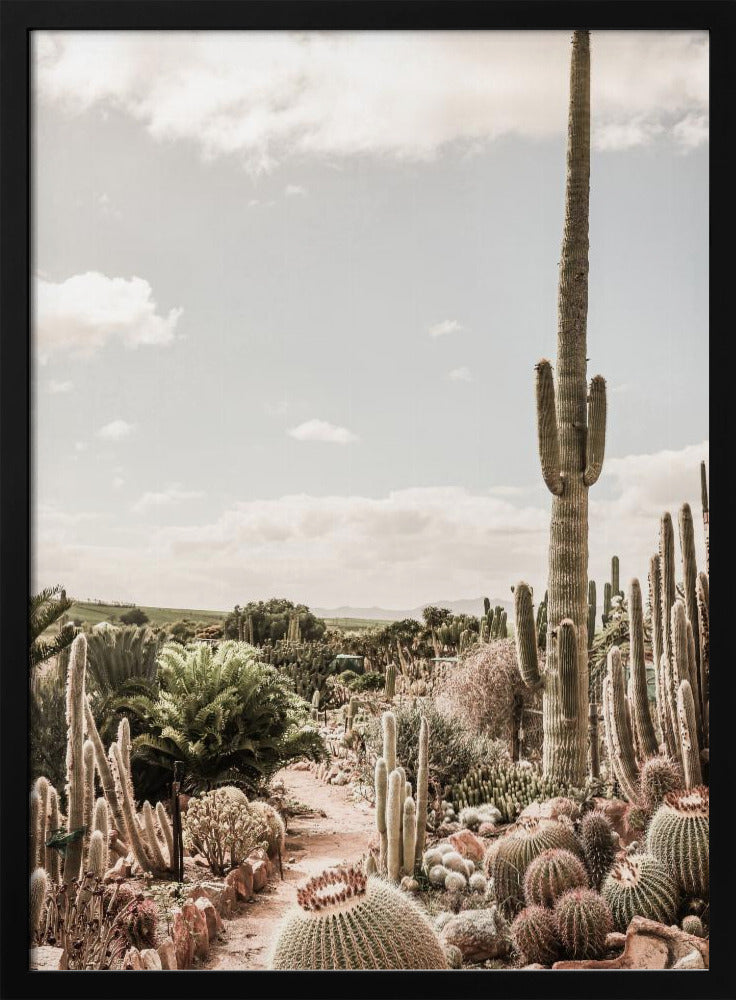 Cactus Farm