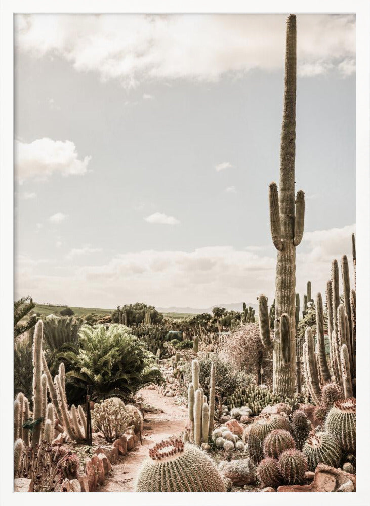 Cactus Farm
