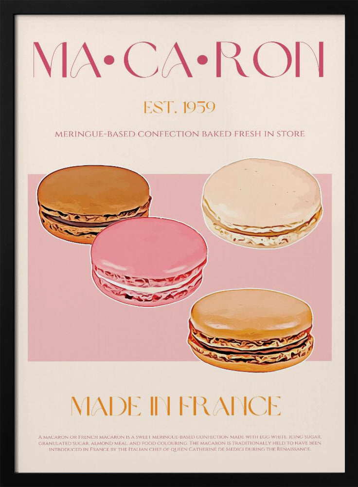 French Macaron Delight
