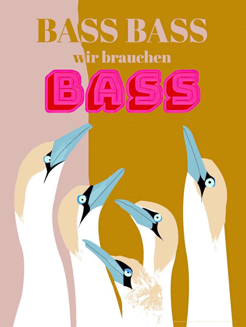 Bild Nummer 1