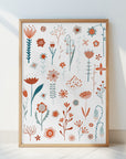 Flowers of the Summer