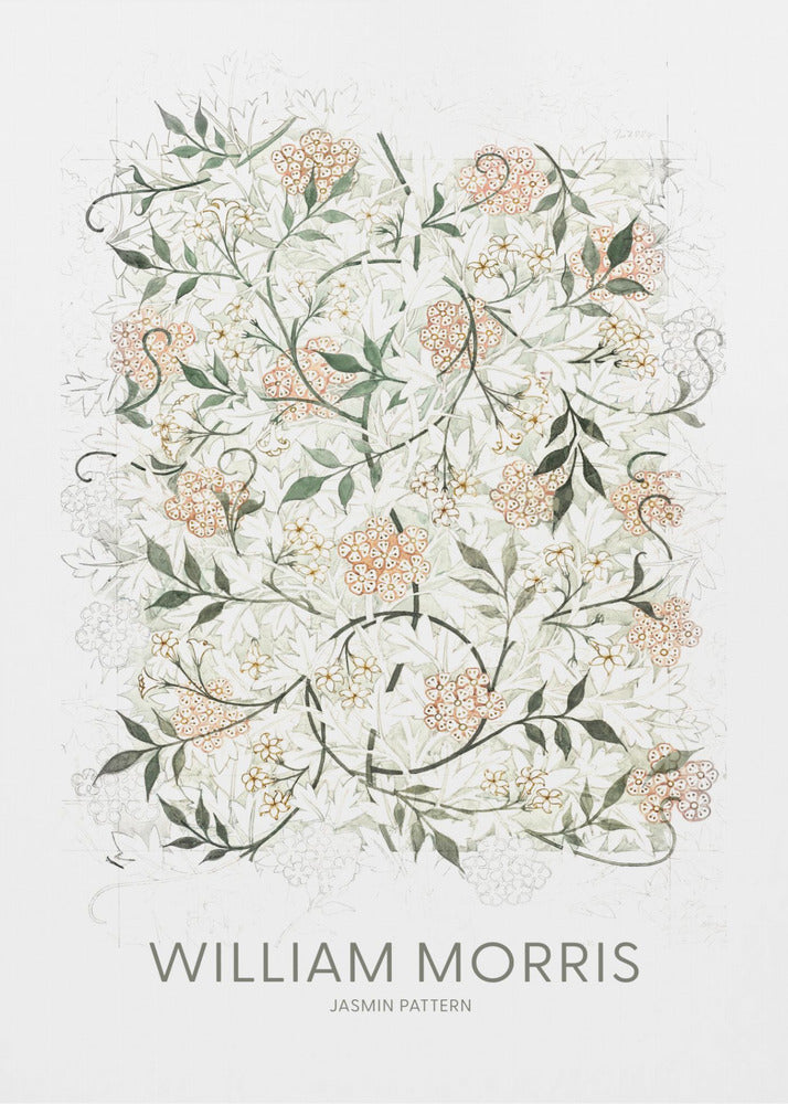 Jasmine