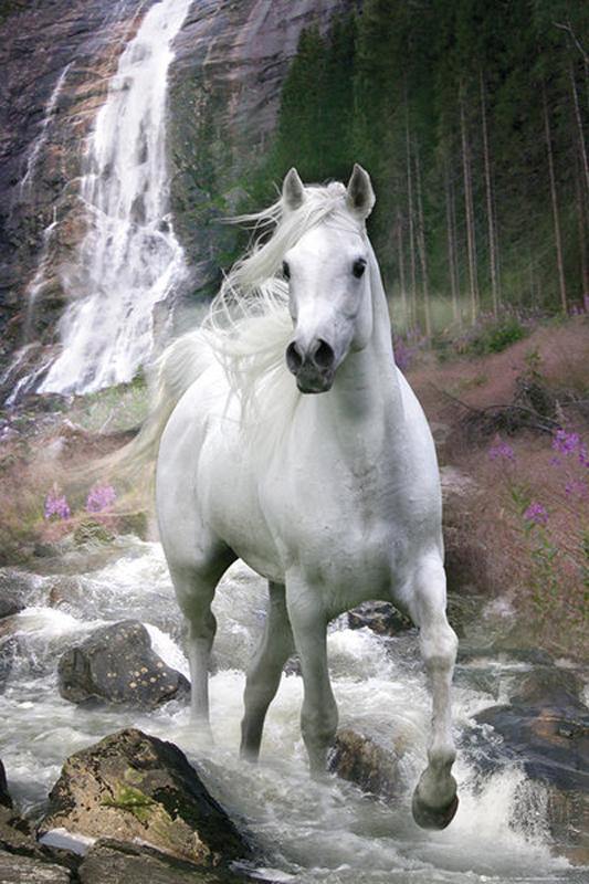 Bild Nummer 1