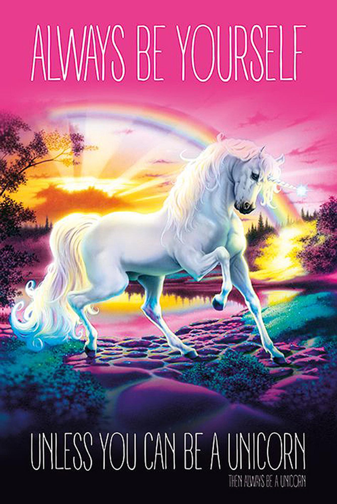 Bild Nummer 1
