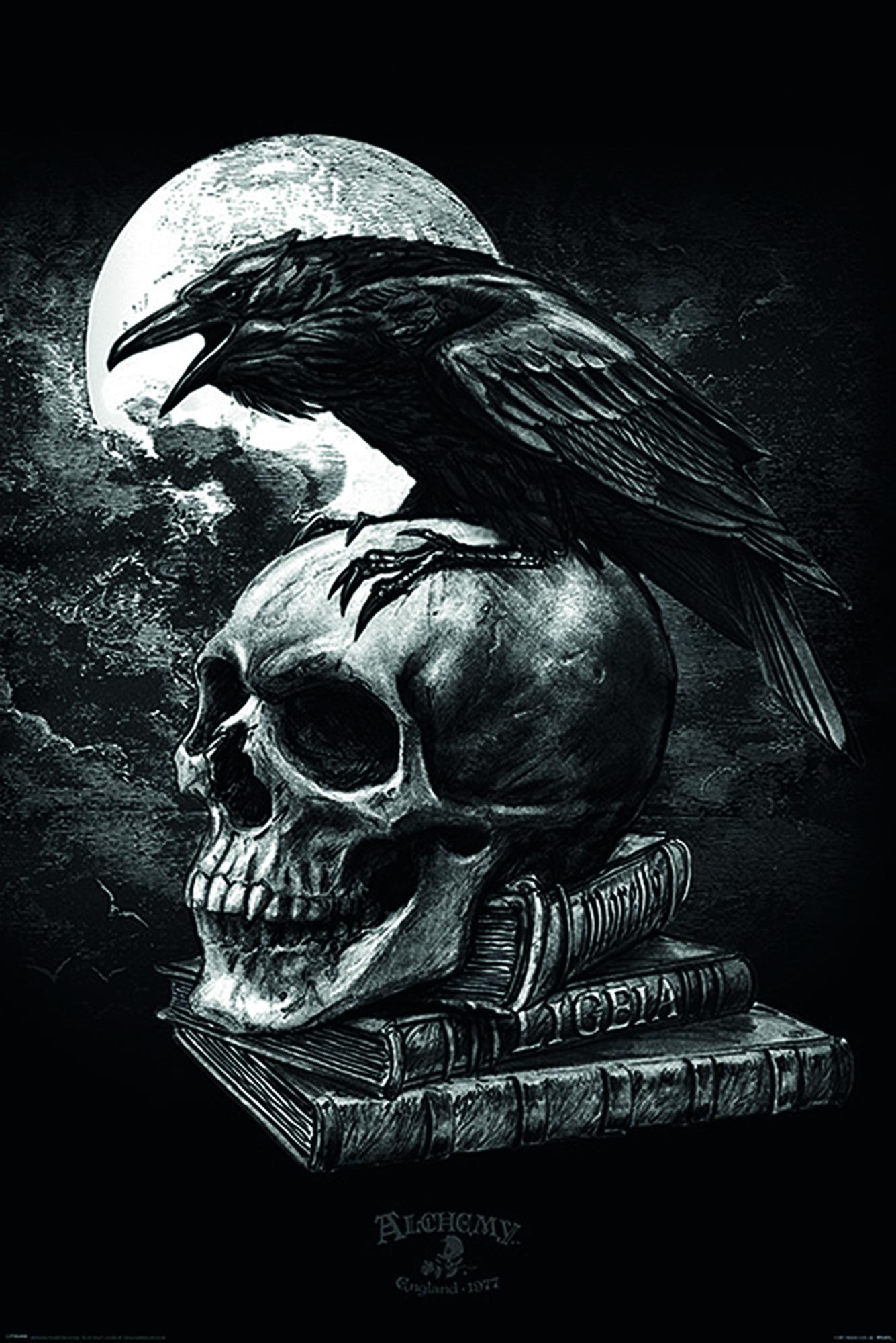 Alchemy Poster Poe&#39;s Raven