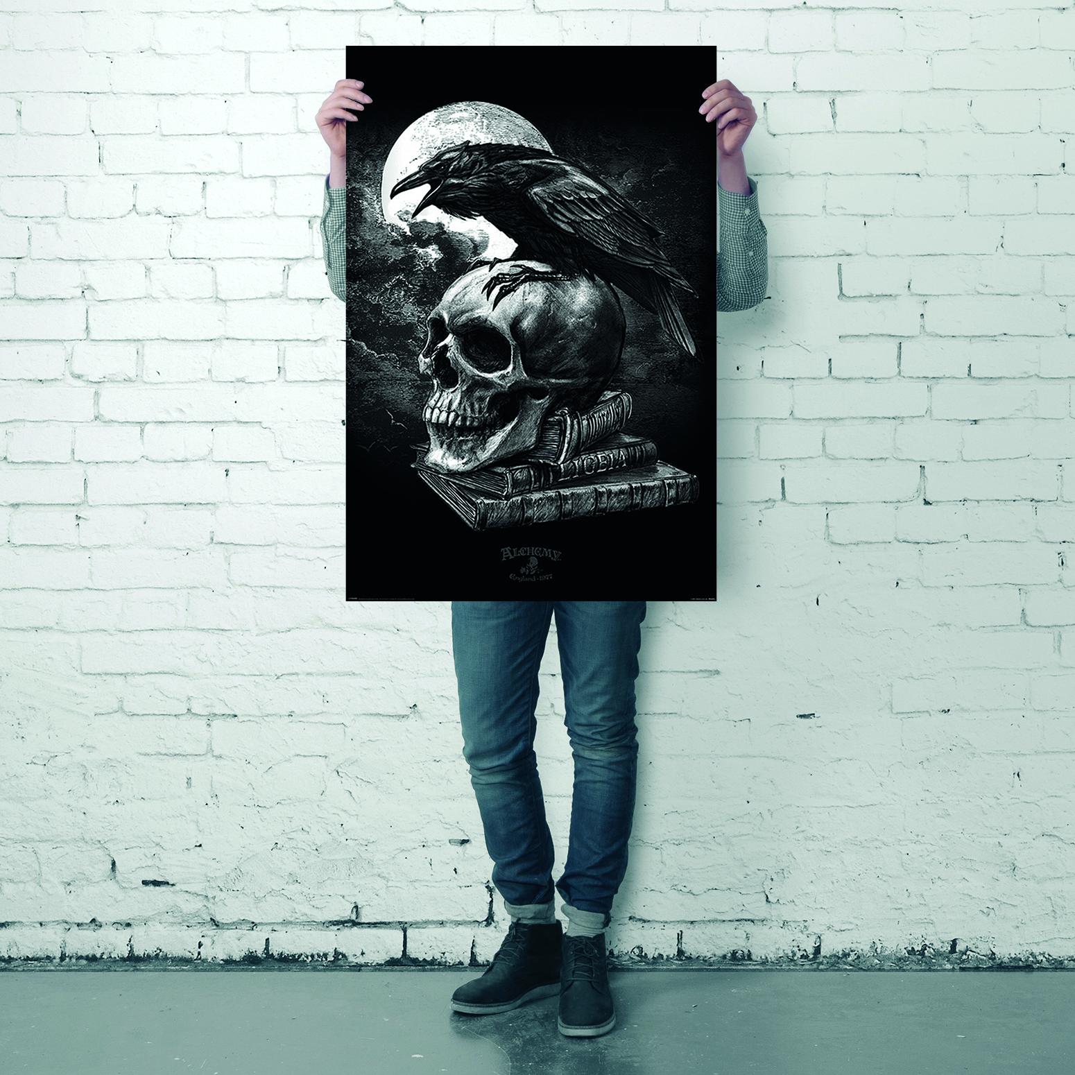 Alchemy Poster Poe&#39;s Raven