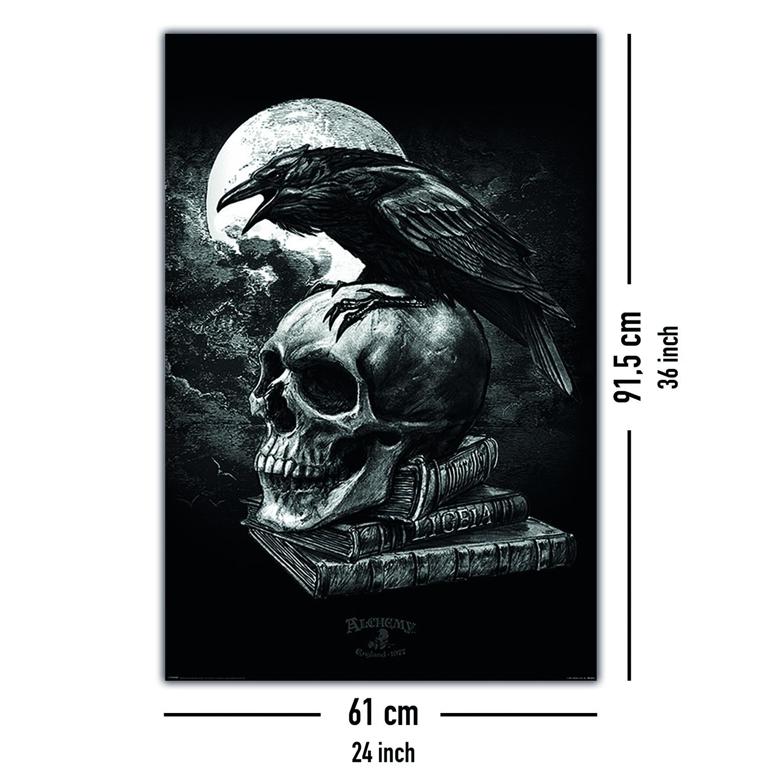 Alchemy Poster Poe&#39;s Raven