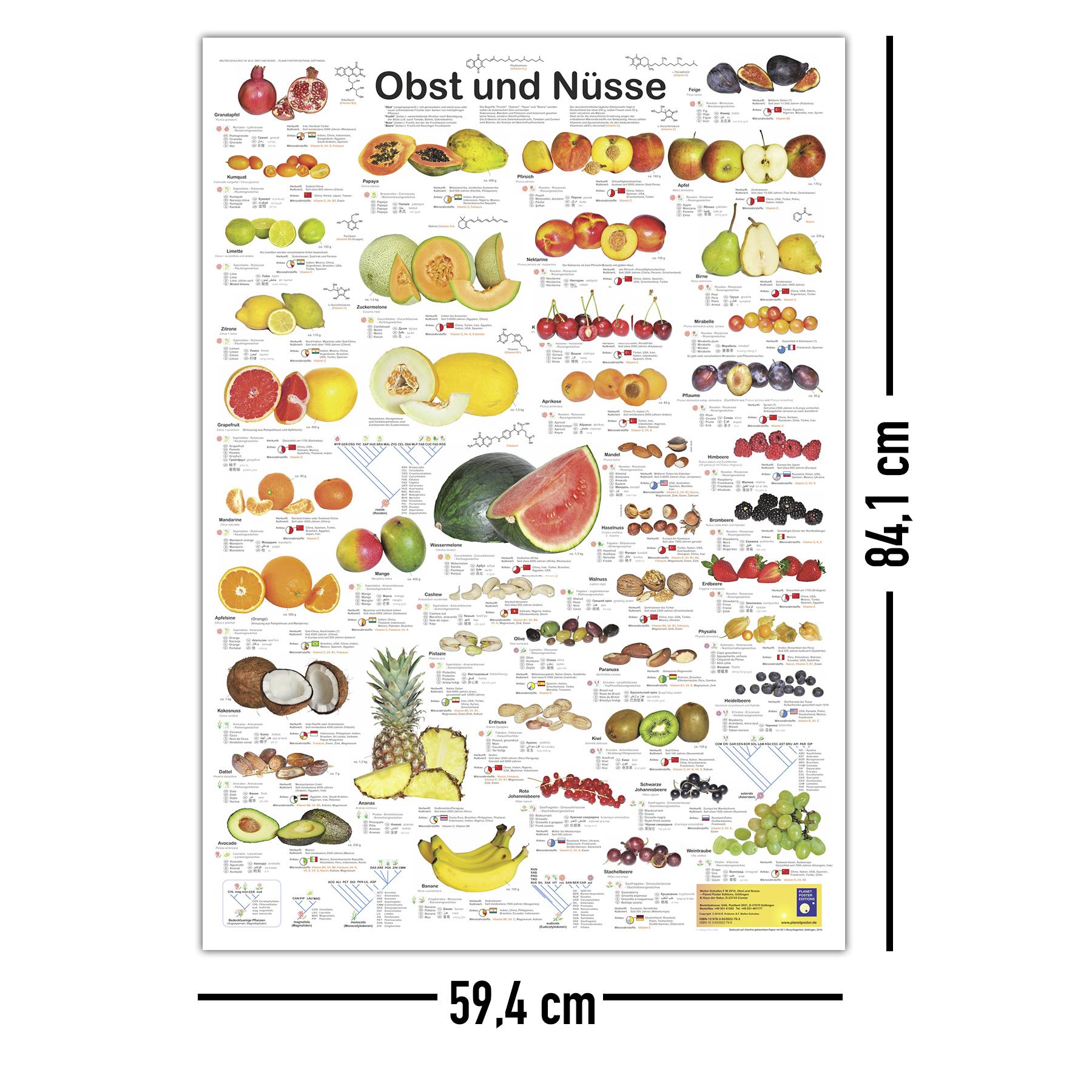 Bild Nummer 5