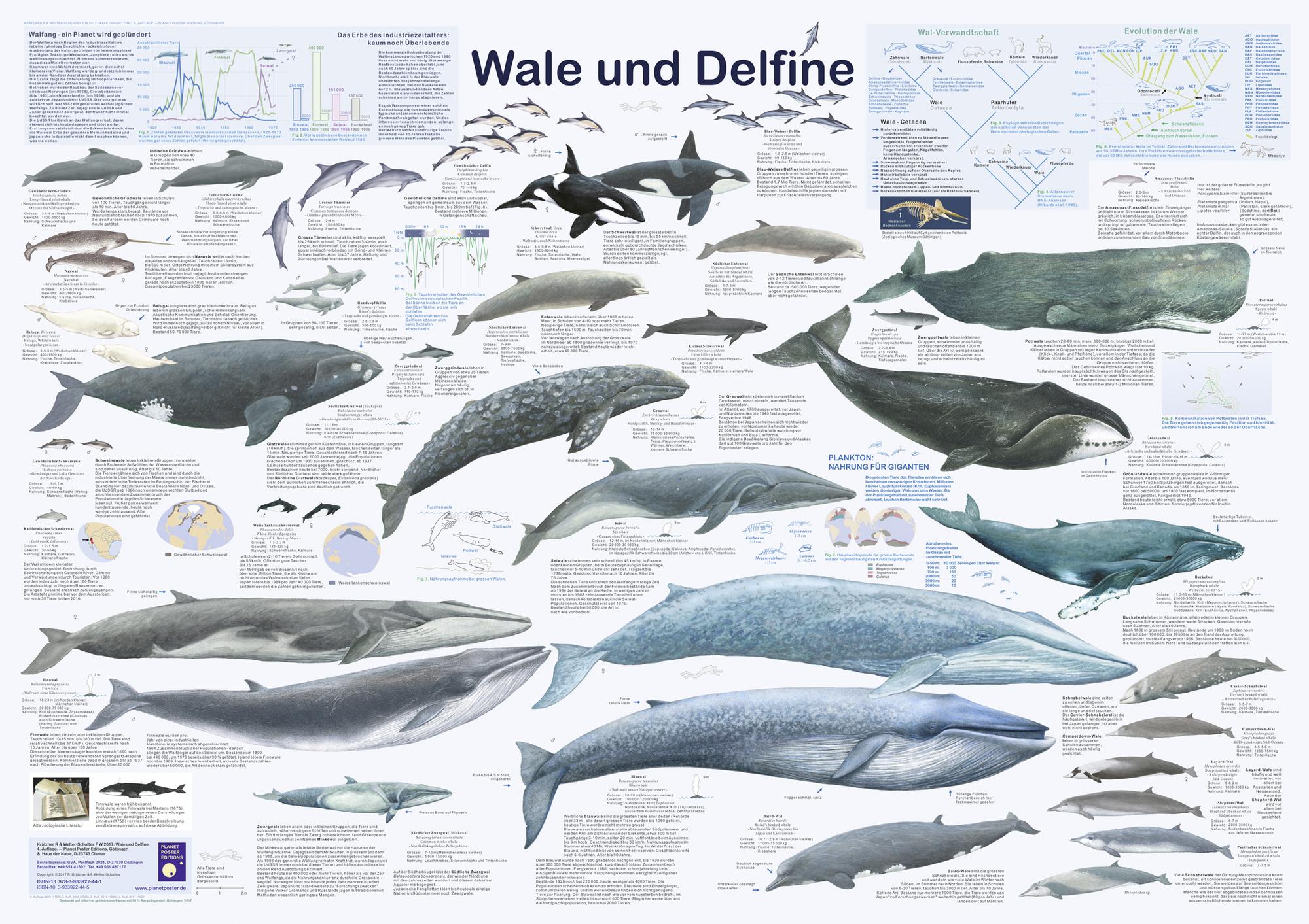 Bild Nummer 1