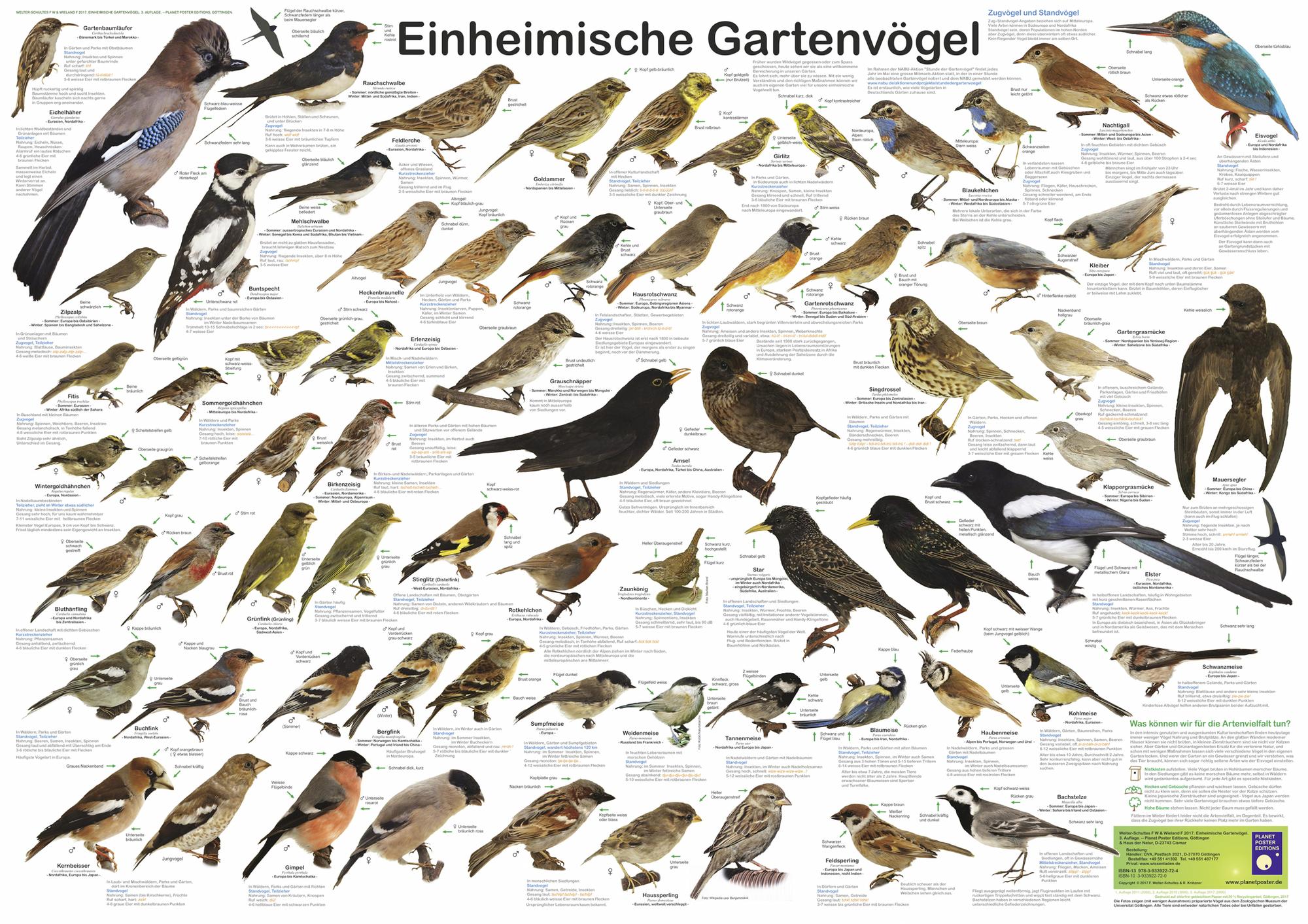 Bild Nummer 1