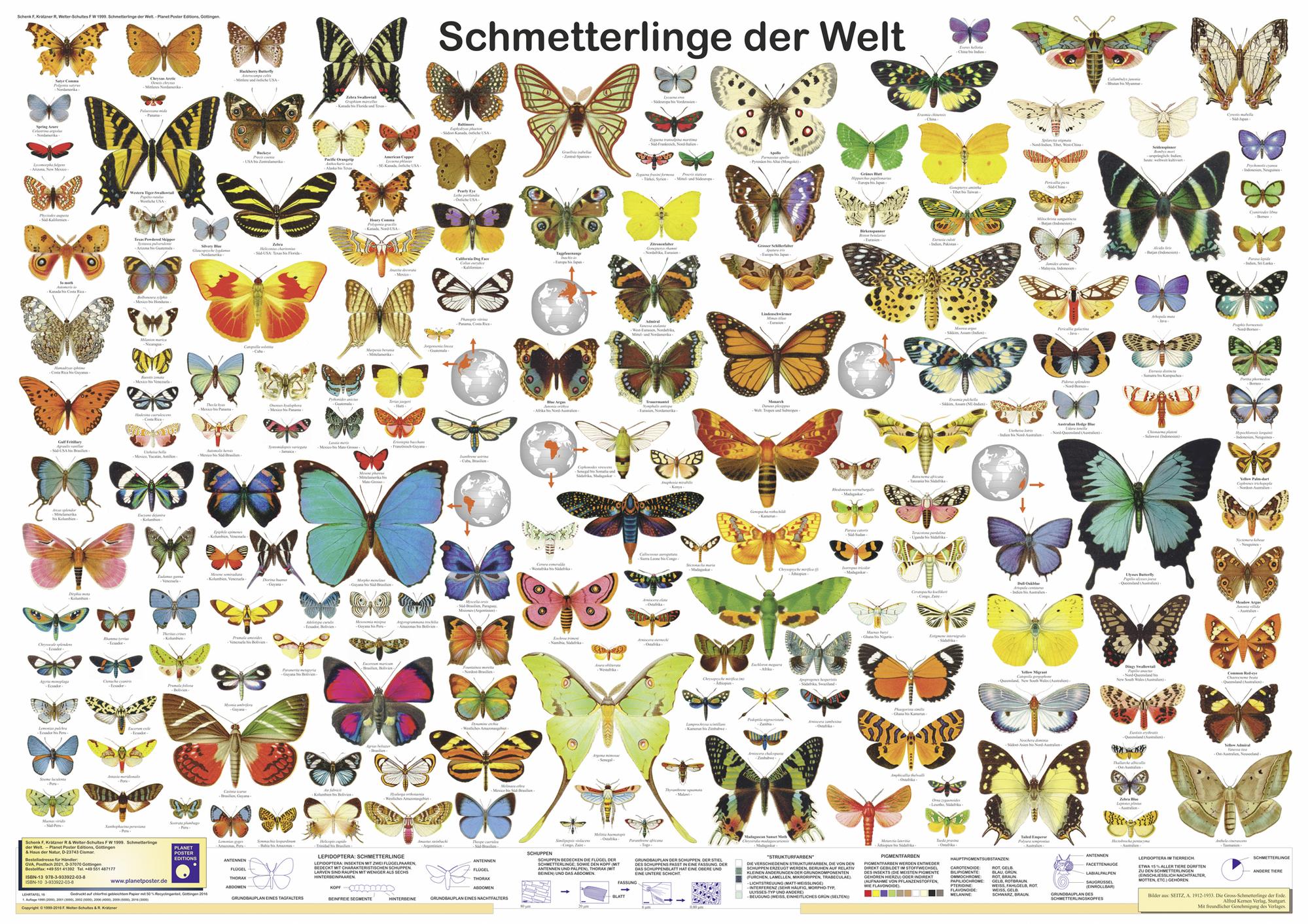 Bild Nummer 1
