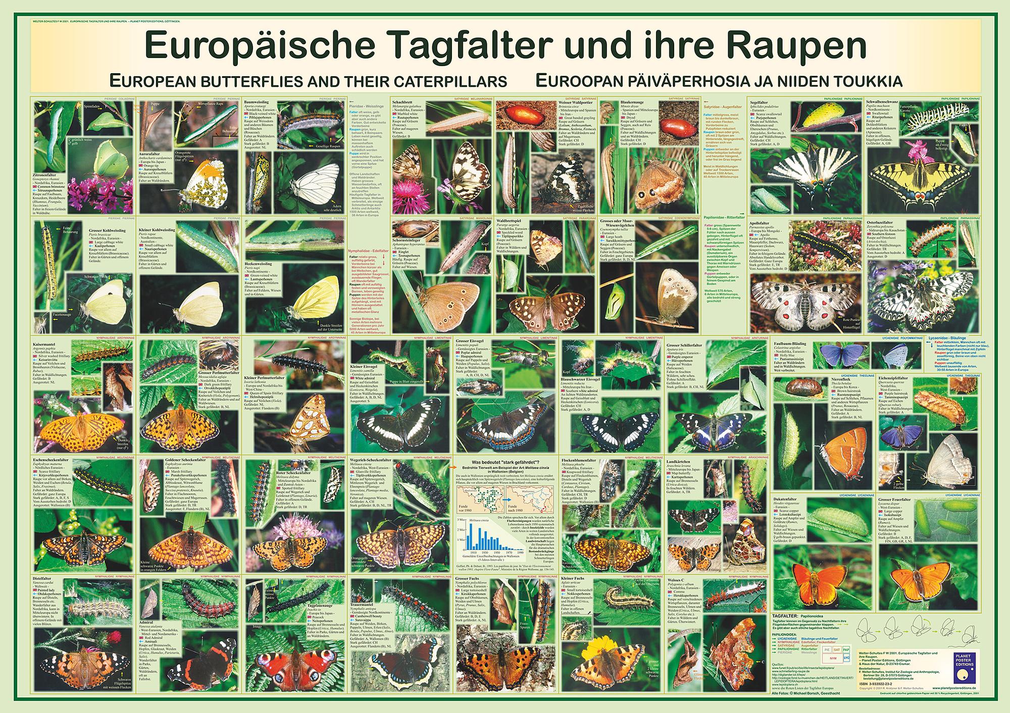 Bild Nummer 1