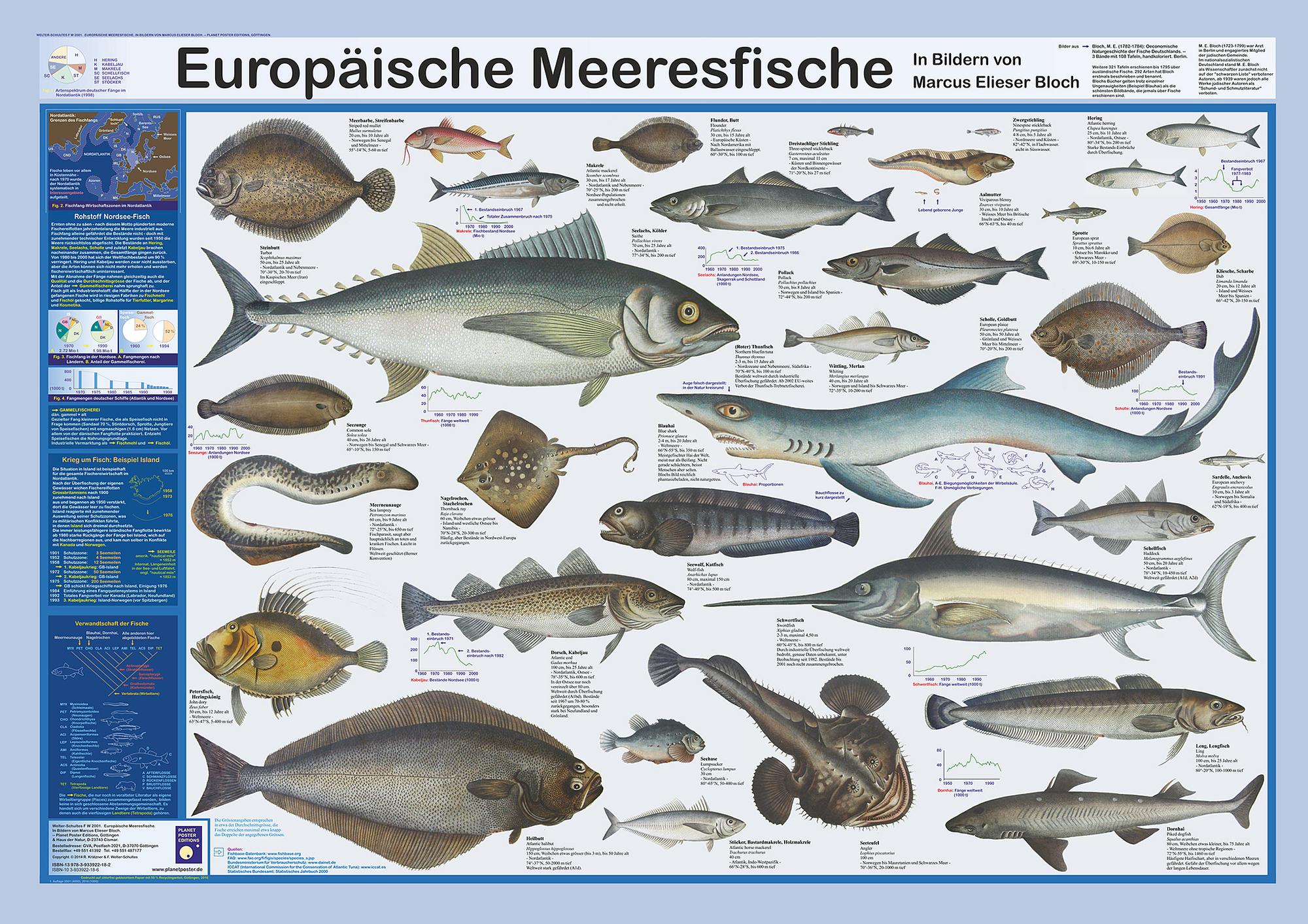 Bild Nummer 1