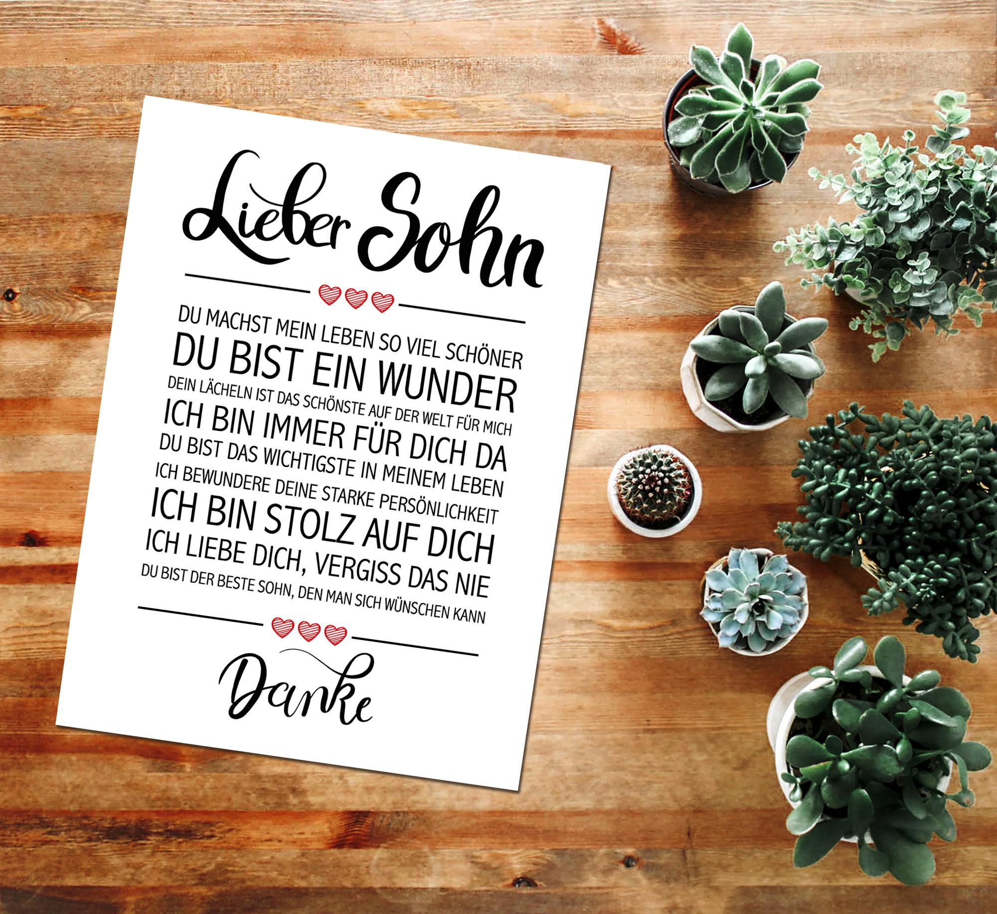 Bild Nummer 2